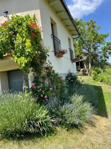 Casa Della Luna Badia Tedalda Екстериор снимка
